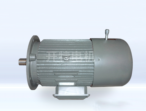 YEJ系列電磁制動(dòng)三相異步電機(jī)